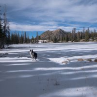 export-1.jpg export-1.jpg