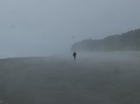 2015-06-18 olympic coast 082.JPG