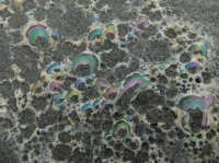 2015-06-18 olympic coast 106.JPG