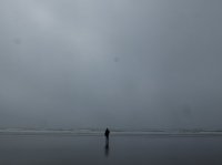 2015-06-18 olympic coast 163.JPG