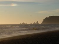 2015-06-18 olympic coast 240.JPG