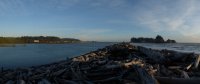 2015-06-18 olympic coast 244.JPG