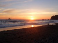 2015-06-18 olympic coast 278.JPG