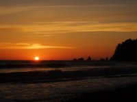 2015-06-18 olympic coast 288.JPG