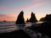 2015-06-18 olympic coast 312.JPG