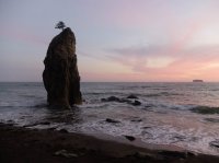 2015-06-18 olympic coast 331.JPG