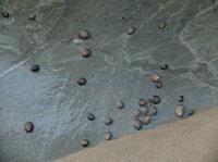 2015-06-18 olympic coast 360.JPG