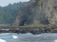 2015-06-18 olympic coast 365.JPG