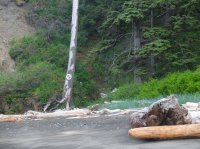 2015-06-18 olympic coast 374.JPG