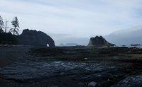2015-06-18 olympic coast 402.JPG