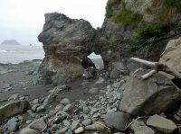 2015-06-18 olympic coast 468.JPG