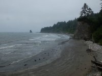 2015-06-18 olympic coast 490.JPG