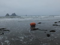 2015-06-18 olympic coast 504.JPG