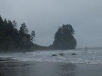 2015-06-18 olympic coast 509.JPG