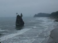 2015-06-18 olympic coast 523.JPG