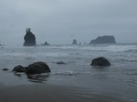 2015-06-18 olympic coast 542.JPG