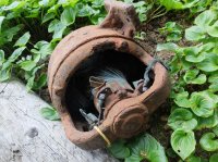 2015-06-18 olympic coast 550.JPG