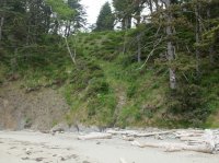 2015-06-18 olympic coast 555.JPG