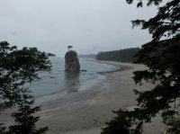 2015-06-18 olympic coast 561.JPG