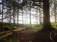 2015-06-18 olympic coast 603.JPG