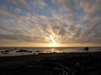 2015-06-18 olympic coast 605.JPG