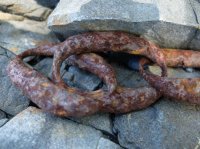 2015-06-18 olympic coast 689.JPG