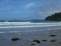 2015-06-18 olympic coast 702.JPG