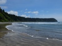 2015-06-18 olympic coast 711.JPG