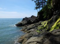 2015-06-18 olympic coast 713.JPG