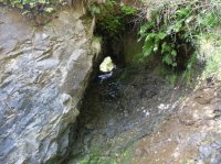 2015-06-18 olympic coast 715.JPG