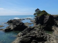 2015-06-18 olympic coast 721.JPG