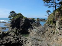 2015-06-18 olympic coast 722.JPG