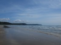 2015-06-18 olympic coast 741.JPG