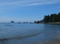2015-06-18 olympic coast 751.JPG