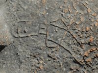 2015-06-18 olympic coast 773.JPG