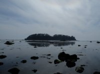 2015-06-18 olympic coast 781.JPG