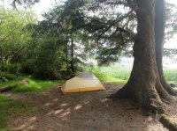 2015-06-18 olympic coast 784.JPG