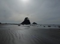 2015-06-18 olympic coast 795.JPG