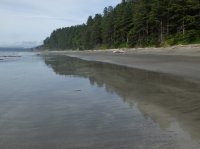 2015-06-18 olympic coast 796.JPG