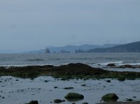 2015-06-18 olympic coast 808.JPG