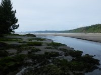 2015-06-18 olympic coast 810.JPG