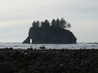 2015-06-18 olympic coast 831.JPG