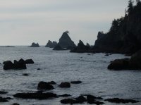 2015-06-18 olympic coast 843.JPG