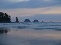 2015-06-18 olympic coast 876.JPG