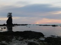 2015-06-18 olympic coast 882.JPG