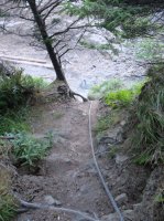 2015-06-18 olympic coast 883.JPG