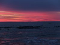 2015-06-18 olympic coast 914.JPG