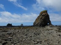 2015-06-18 olympic coast 937.JPG