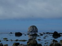 2015-06-18 olympic coast 938.JPG