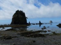 2015-06-18 olympic coast 940.JPG